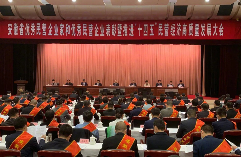 喜讯！97622娱乐电子游戏科技总经理梁燕被授予“安徽省优秀民营企业家”称号